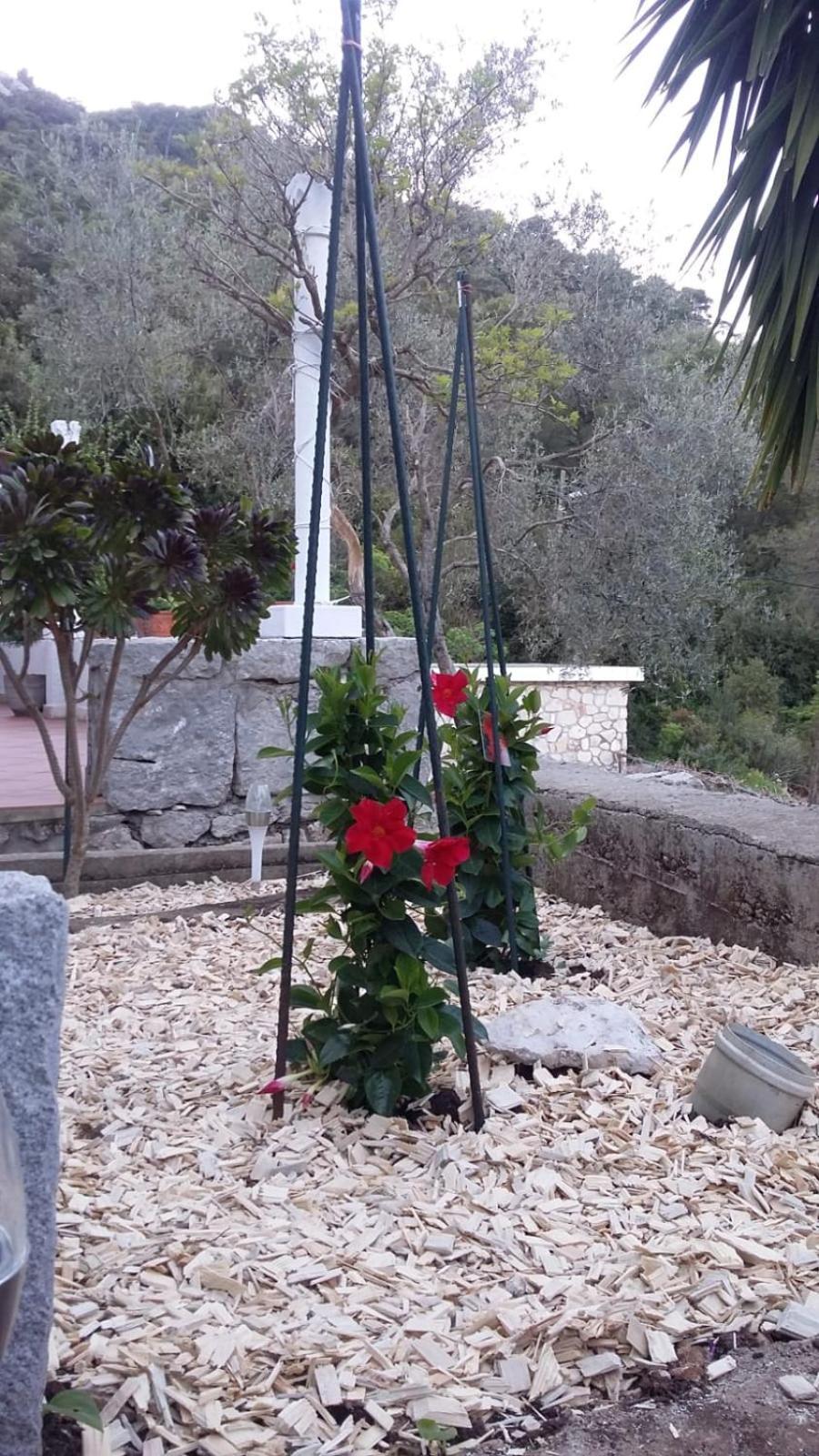Apartment Nadine Mljet Mit Meerblick Okuklje Zewnętrze zdjęcie