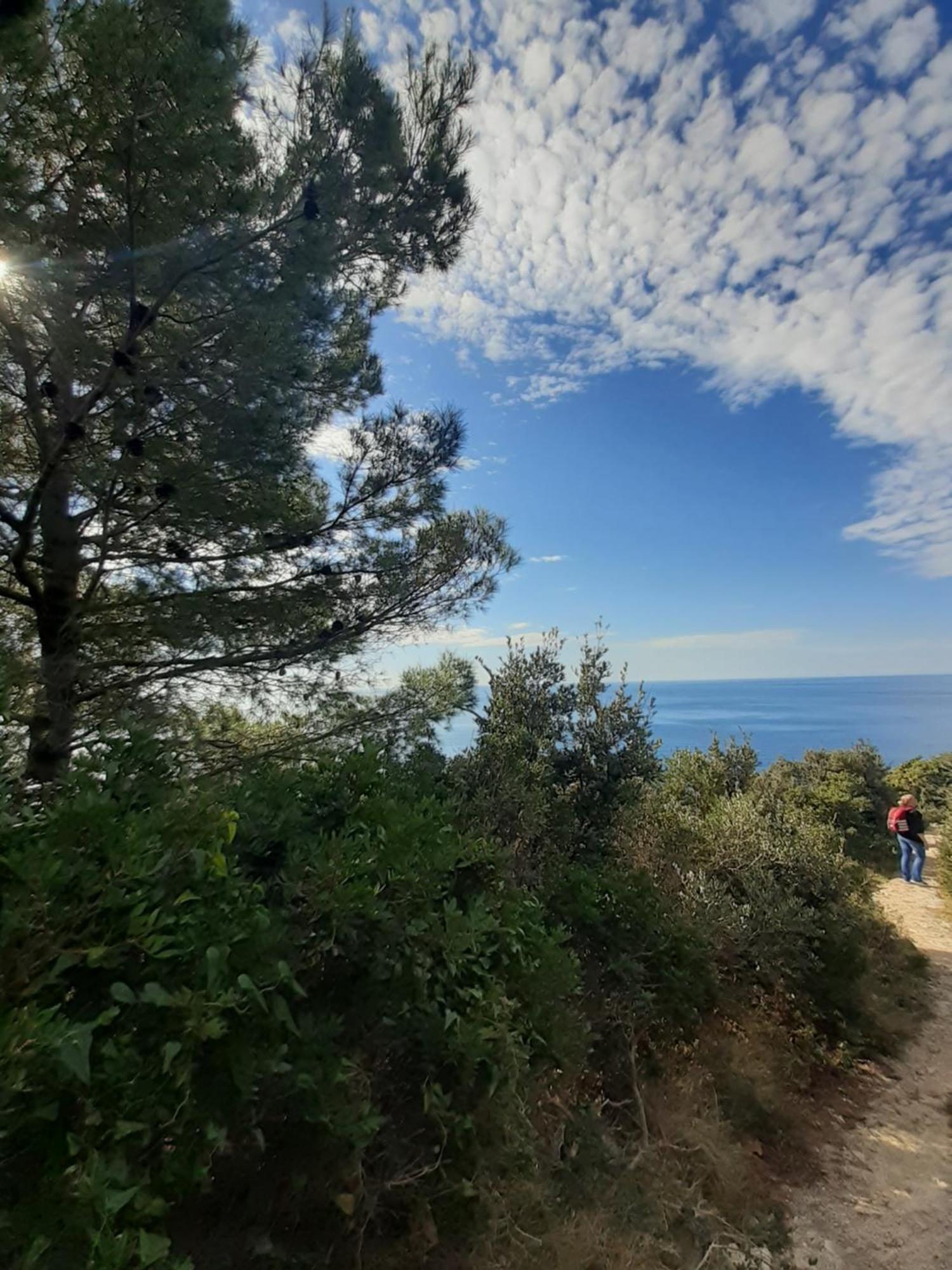 Apartment Nadine Mljet Mit Meerblick Okuklje Pokój zdjęcie